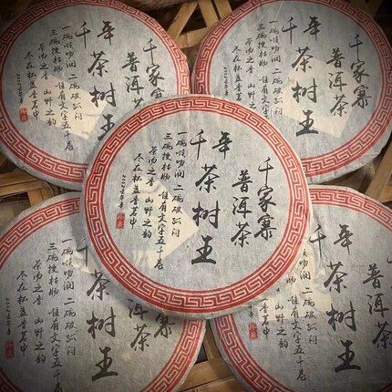 2002年千家寨千年古茶王 入口厚重甜润 甜感回甘生津强烈 357g