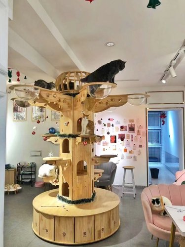 猫树大型窝猫树猫屋猫爬架猫抓板