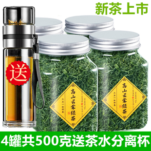 送茶水分离杯绿茶2025新茶春茶碧螺春日照高山云雾茶叶散罐装500g