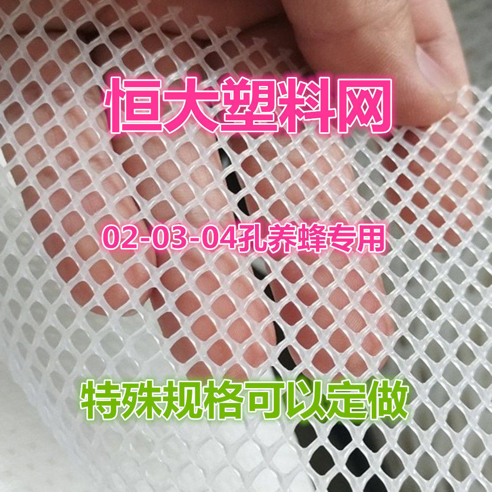 养蜂塑料网蜜蜂防逃网胡蜂防逃网活动区喂食笼塑料网03小孔塑料网