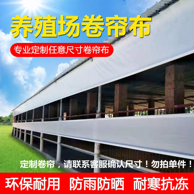 畜牧养殖场卷帘布加厚猪场牛棚防寒保暖透光遮阳防雨布PE布篷布
