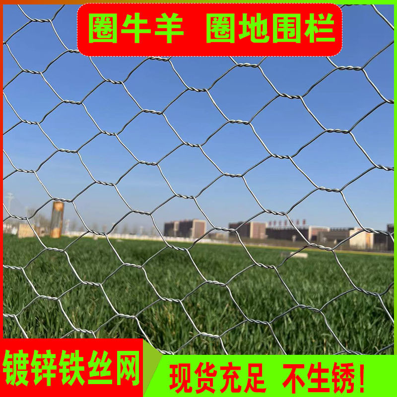 镀锌网格拧花网六角网护栏网隔离网铁丝网围栏养殖网钢丝网装饰网