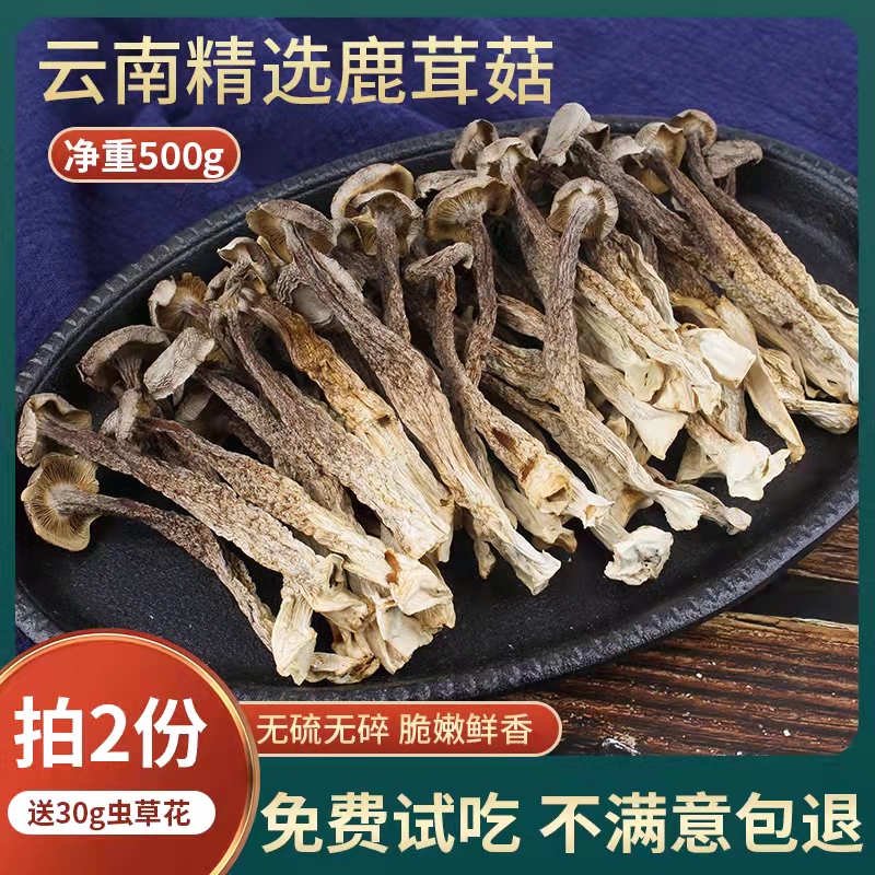 特级鹿茸菇干净无沙脆嫩鲜香