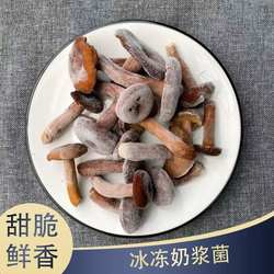 25年现货新鲜云南奶浆菌精选新鲜品质松乳菇蘑菇大理特产顺丰包邮