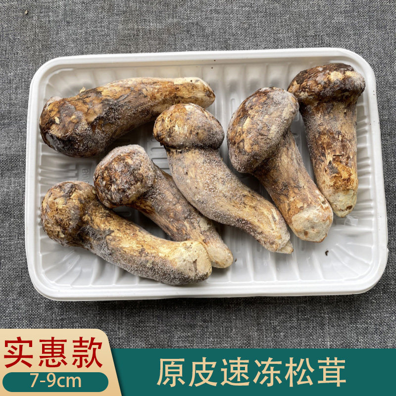 现货精选云南特产冰冻野生松茸 香格里拉野生菌菇不开伞顺丰包邮