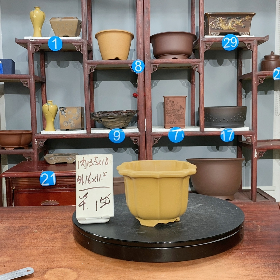 花盆,鲜花速递/花卉仿真/绿植园艺,花盆,淘宝优惠券,粉丝福利购,淘宝优惠卷