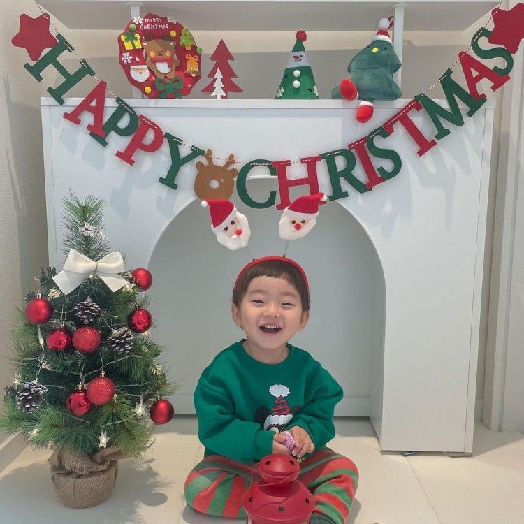 ins风新款圣诞字母毛毡装饰拉花新年装饰用品气氛道具拉旗,节庆用品/礼品,圣诞装饰品,淘宝优惠券,粉丝福利购,淘宝优惠卷