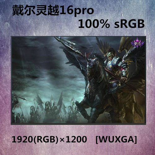 戴尔DELL笔记本屏幕IPS100%