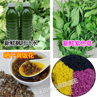 五色糯米饭植物染料黑颜色广西彩色花米新鲜枫叶液汁香枫树叶水