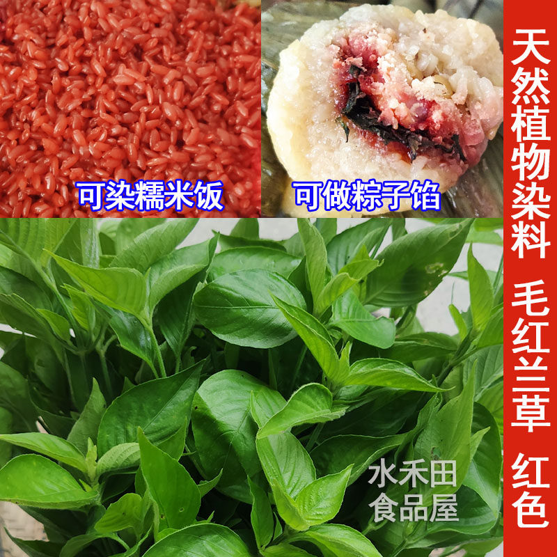 广西三月三彩色糯米饭植物染料红色红丝钱红兰草天然花米红蓝草色