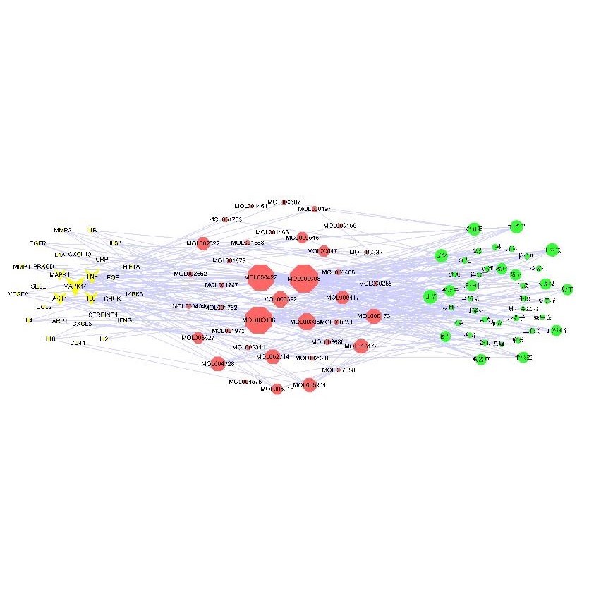 批量转录组数据挖掘GEO/TCGA 轻松获取关键基因与通路