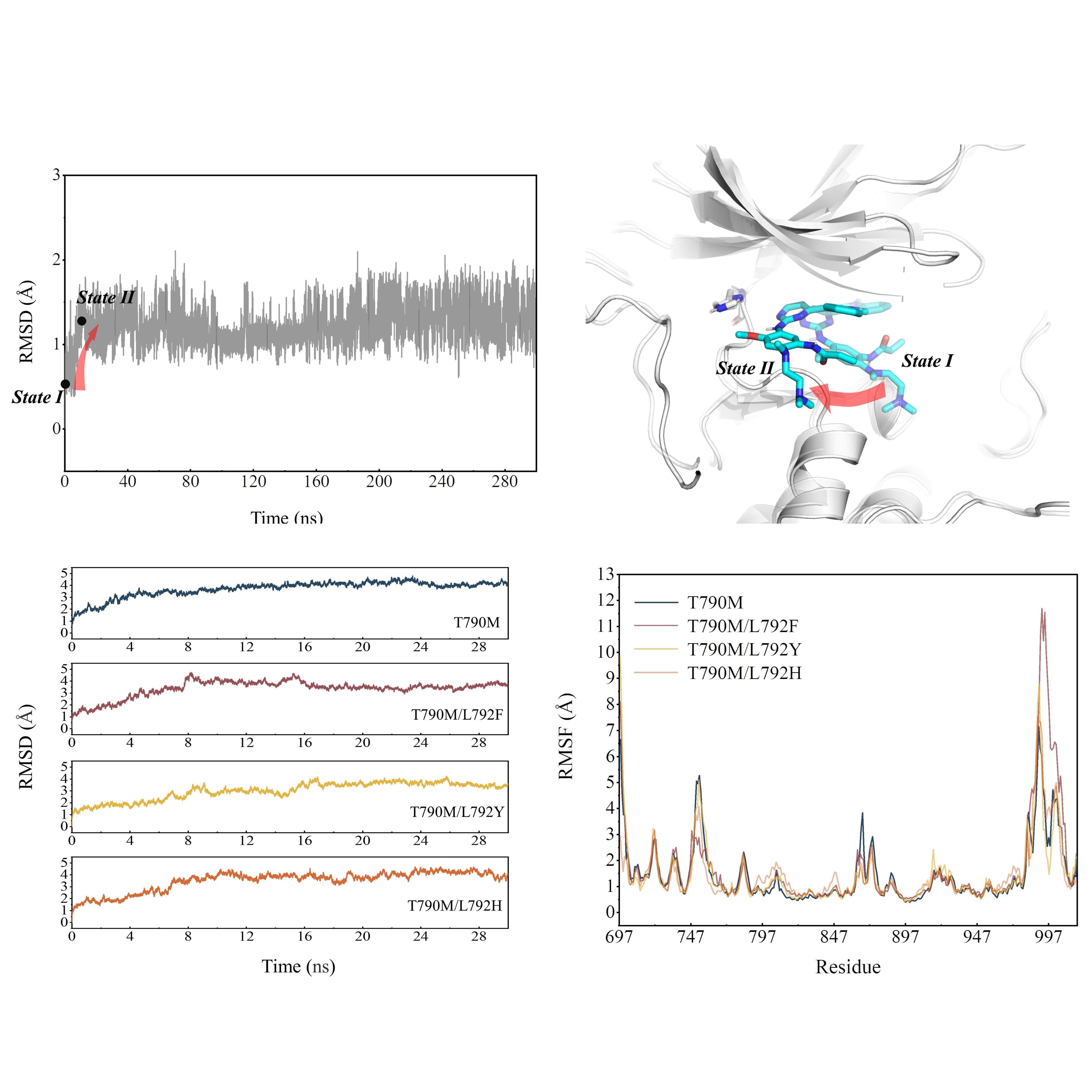 分子动力学模拟/结合稳定性分析/结合自由能计算/突变分析