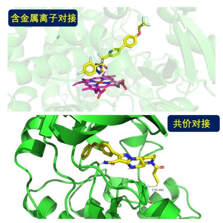 小分子对接虚拟筛选网路药理学动力学autodock自由能计算作图蛋白