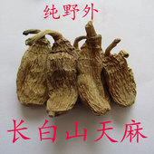长白山非种植原生特级天麻干货东北特产天麻胜云南邵通可打粉切片