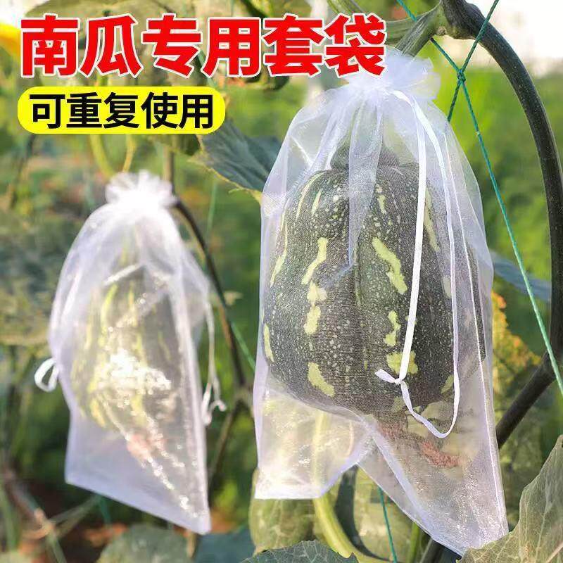 园艺用品防虫袋子蔬果防鸟西瓜袋南瓜尼龙丝冬瓜专用网套水果网袋