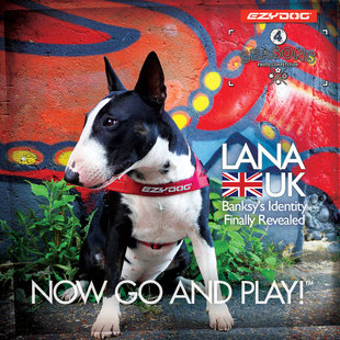 EZYDOG胸背宠物狗快套胸背带柴犬柯基项圈反光牵引绳防爆冲易吉狗