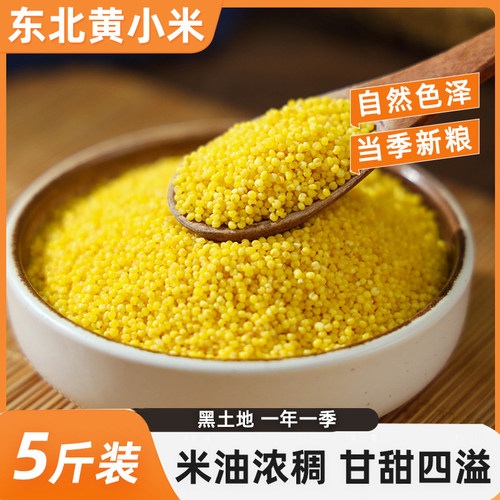 东北农家黄小米米油丰富