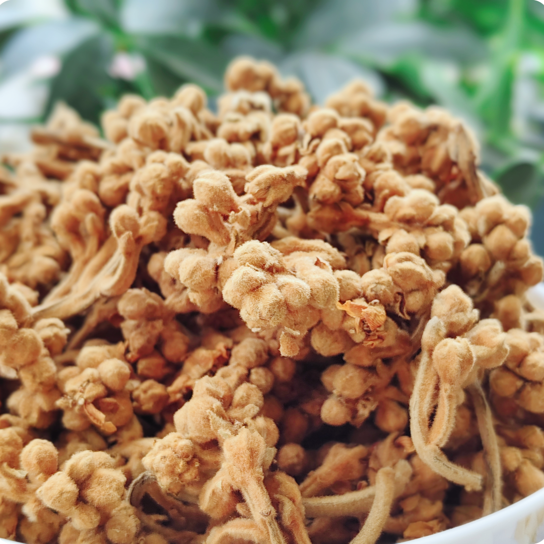 农家枇杷花茶500克河源新货琵琶花蕾天然晾晒花草泡茶煲汤料新鲜