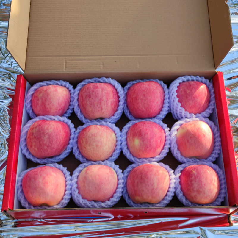 2025山西吉县红富士中秋礼盒新鲜水果当季10斤装大果产地顺丰包邮