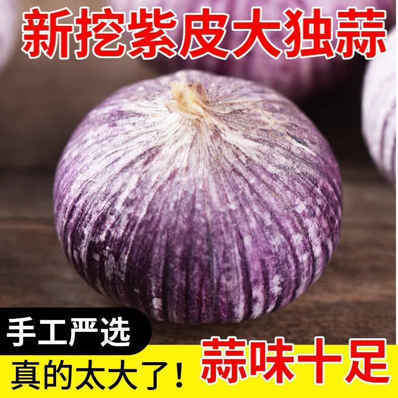 2025正宗云南大理紫皮大蒜头干蒜农家独头蒜大粒香蒜腌糖醋老品种