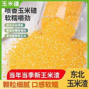 2024新玉米渣大小碴子500g农家笨碴子苞米糁棒子糁粗粮五谷杂粮