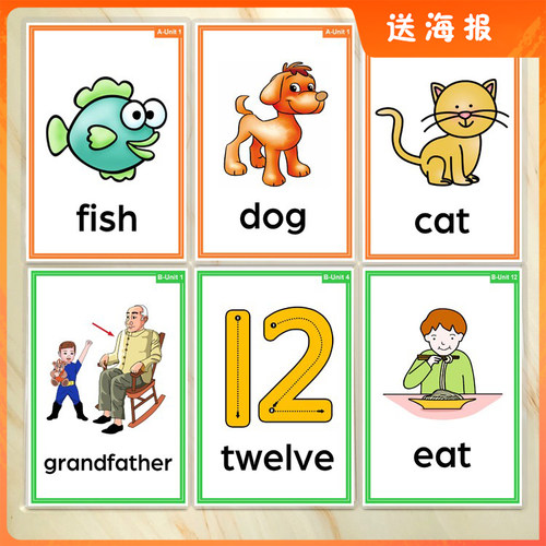 新概念英语入门级单词教具闪卡