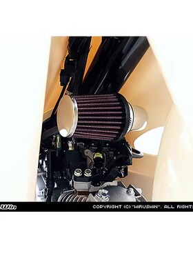 CC110 幼兽 WirusWin 日本进口 蘑菇头 空气滤芯 无级调节进气量