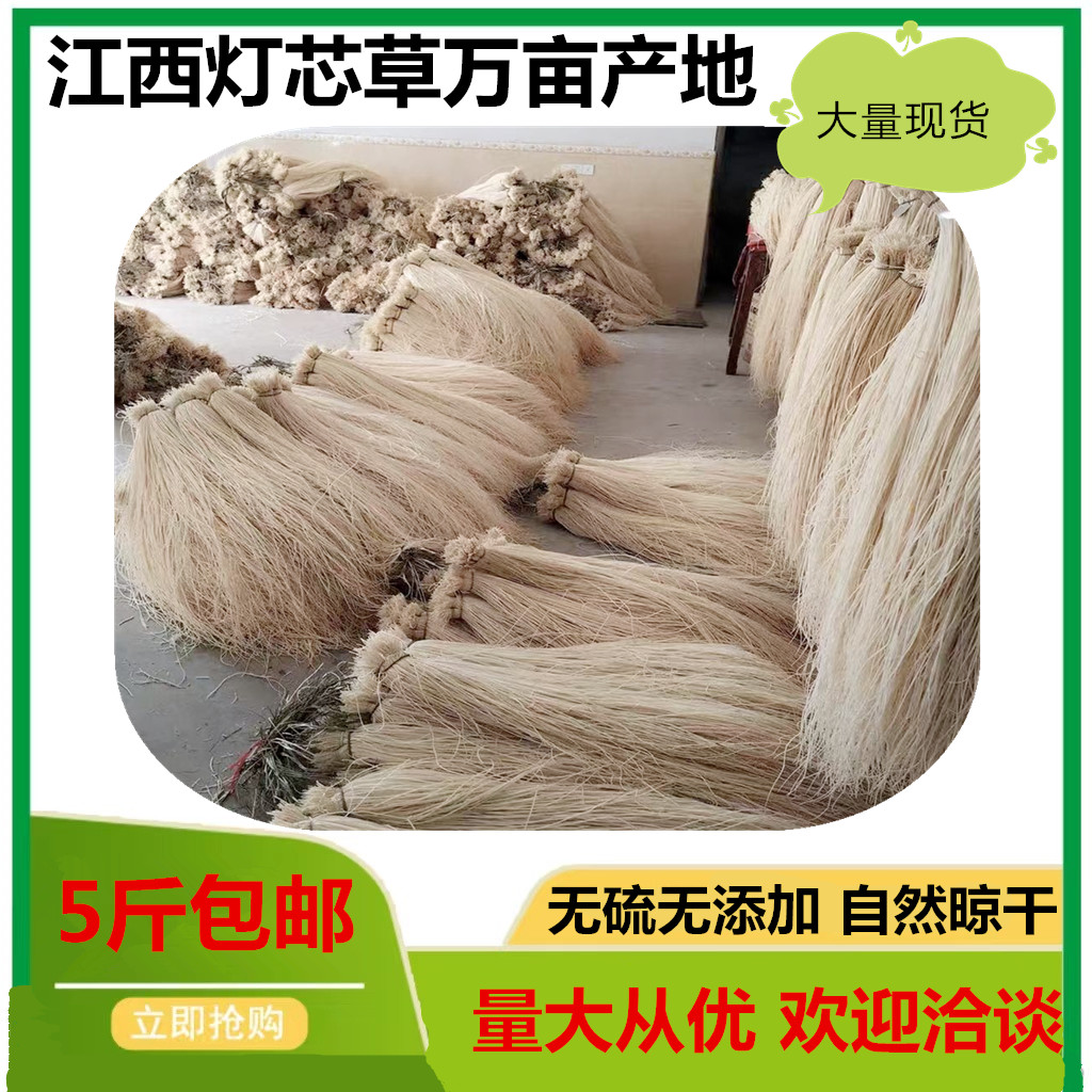 新货灯芯草五斤包邮 荣山灯芯草供佛灯心草念经烧的长灯草芯散装