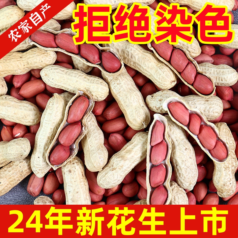 红皮花生带壳生的红衣花生