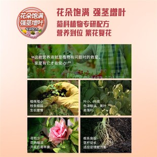 优选棵家用盆栽植物营养液阳台庭院E菊花万寿菊雏菊向日葵紫菀肥.