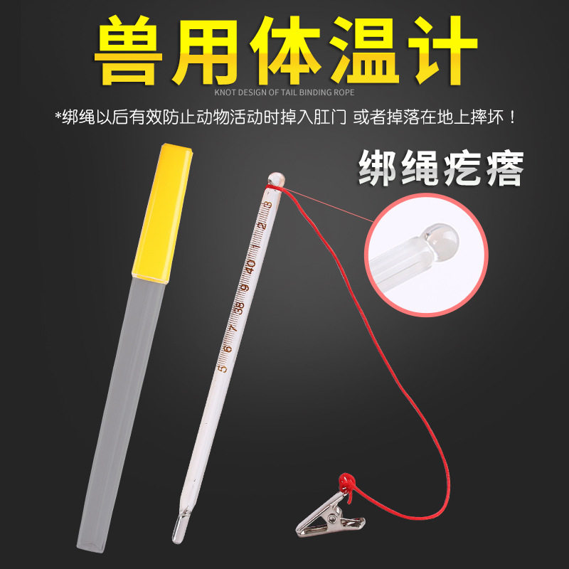 厂家直供兽用体温计宠物用玻璃猪牛羊狗肛门体温表测温仪水银表