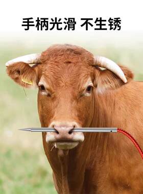 穿牛鼻孔钳子两件套长柄