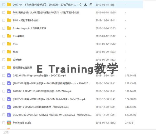 fmri功能性磁共振成像spm视频教学教程(定期更新)大脑成像分析