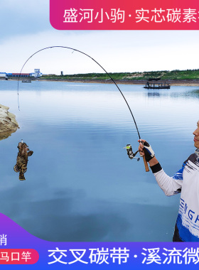 盛河小驹实心微物马口竿UL超软调白条竿直枪柄杆水滴轮路亚竿套装