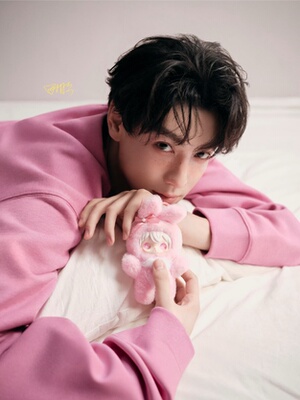 田栩宁同款正版AYORTOYS 兔闪闪ShyShy 闪亮世界系列 拆盒确认款