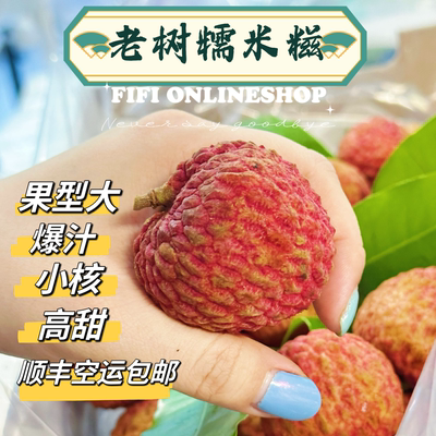 广东新鲜荔枝糯米糍5斤东莞