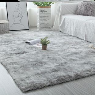Winter Carpet Rugs Plush Carpets Living Room Bedroom Mats 毯