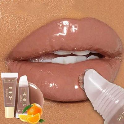 Nude Brown Plumping Lip Gloss Moisturising Fruit Lip Oil Tra