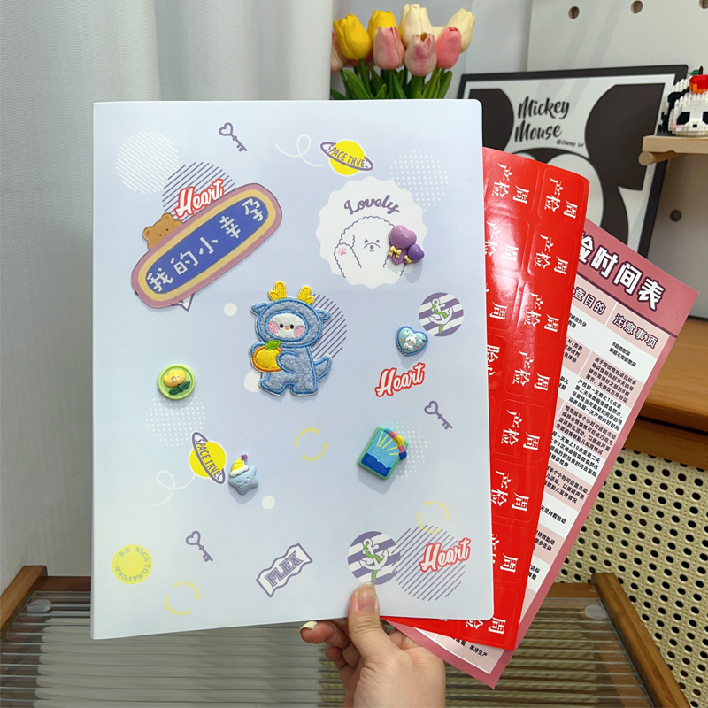 创意龙宝宝孕检收纳册网红新款