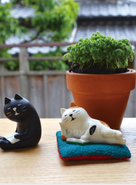 日本 猫咪杂货瞌睡三毛猫看书 考试前夜黑猫打瞌睡