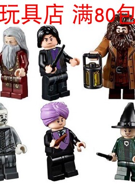 LEGO乐高 哈利波特 人仔 hp134 hp144 145 146 hp147 hp152 75954