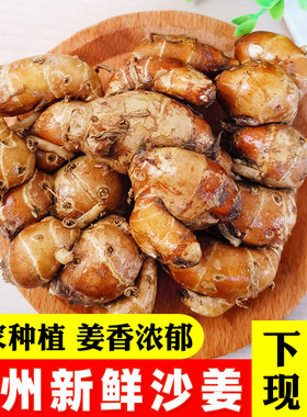 广东沙姜新鲜现挖现发