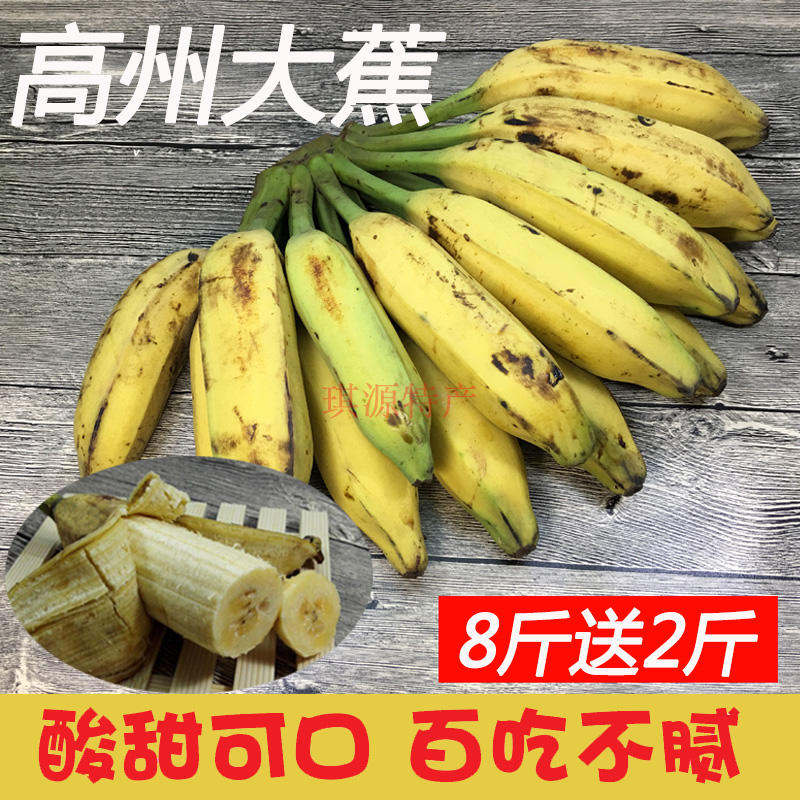 包邮广东高州青芭蕉大蕉plantain新鲜水果非米蕉粉蕉香蕉无催熟剂