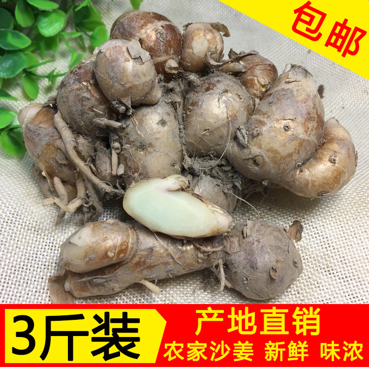 广东新鲜沙姜三奈调味品香料