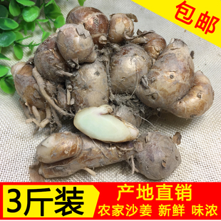 广东高州新鲜沙姜三柰三奈三赖山奈佐料配料调味品香料3斤装 包邮