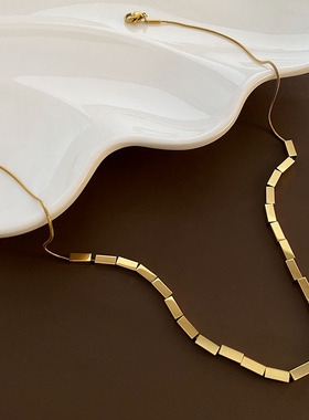 欧美设计感小方块蛇骨链项链女夏ins潮2024年新款轻奢小众锁骨链