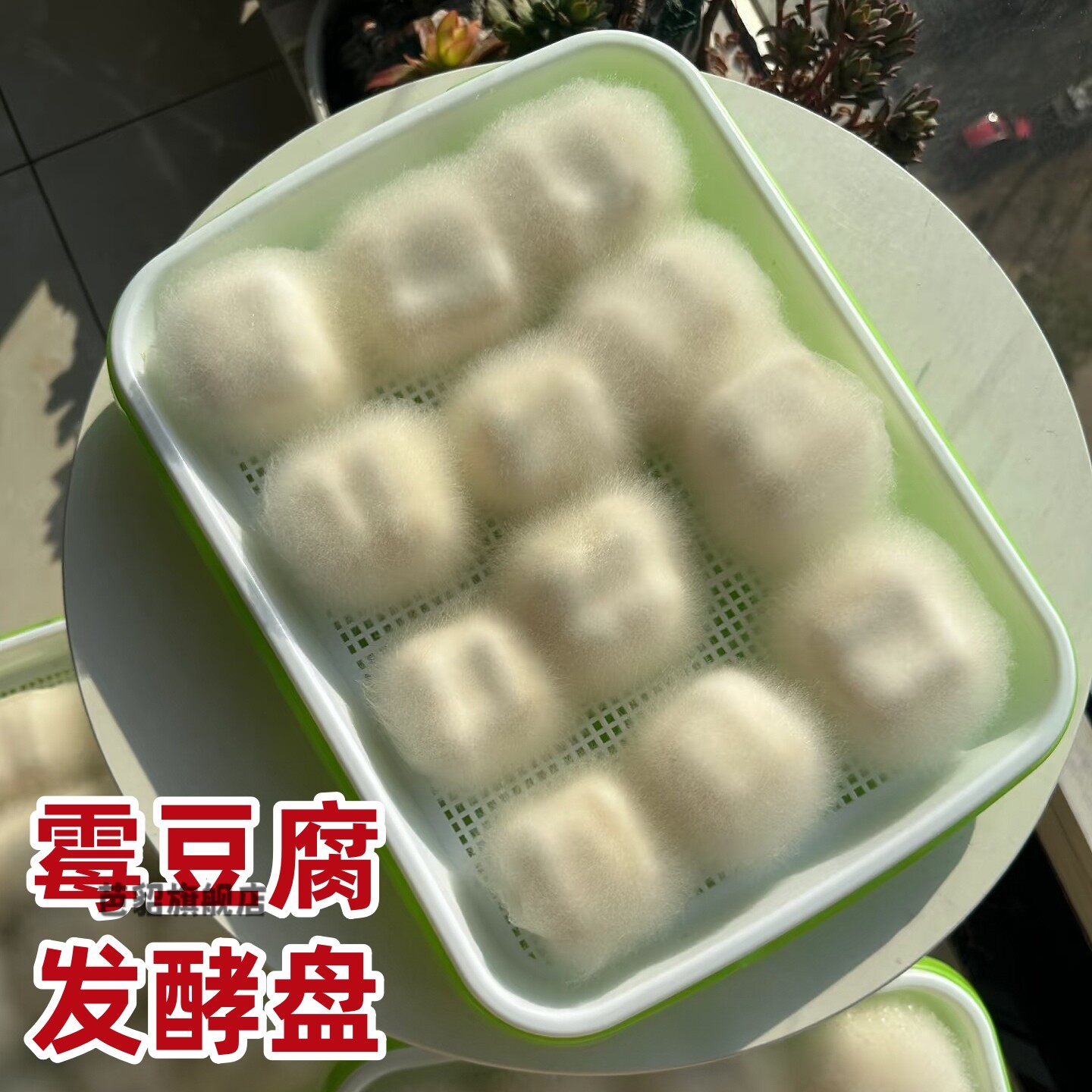 霉豆腐发酵盘带盖多功能家用自制腐乳专用的工具保温保湿毛豆腐盒