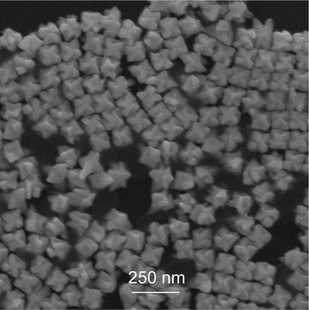 金纳米手性颗粒金纳米颗粒溶液科研实验专用厂家直供金胶体