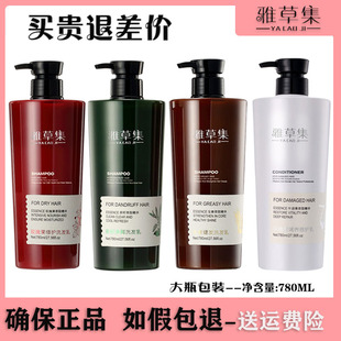 雅草集洗发乳茶籽净屑止痒控油蓬松玫瑰柔顺滑护发素生姜小柚