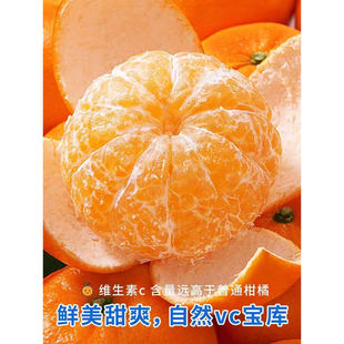 巴东雷家坪椪柑长阳岩松椪柑坪清江椪柑芦柑新鲜水果孕妇水果